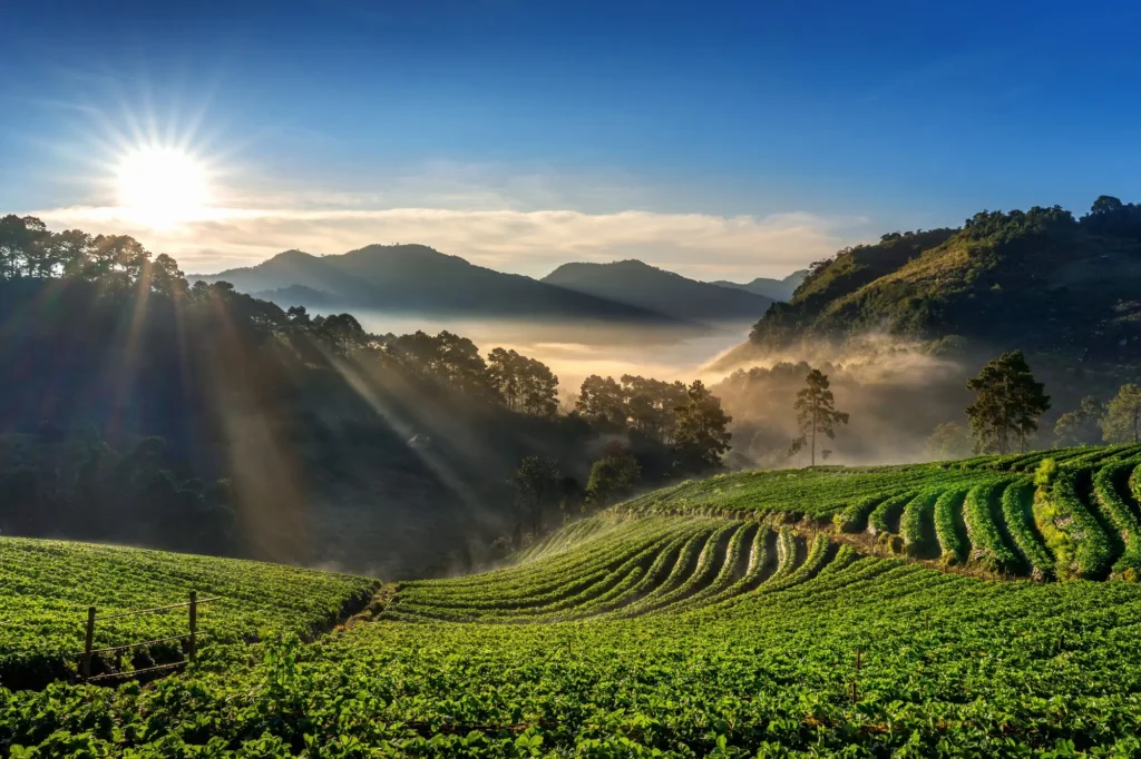 best coimbatore to munnar cab service